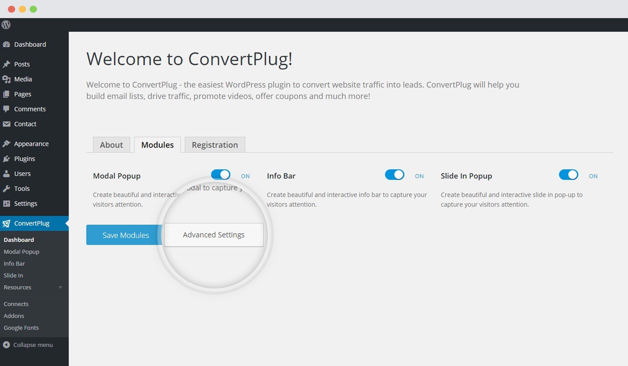 Advamced settings in ConvertPlug